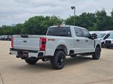 Thumbnail of 2025 Avalanche Ford F-250
