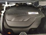 Thumbnail of 2020 Black Forest Pearl Honda Passport