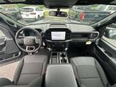Thumbnail of 2025 Carbonized Gray Metallic Ford F-150