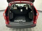 Thumbnail of 2026 Radiant Red Metallic Honda CR-V