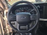 Thumbnail of 2025 Avalanche Ford F-250
