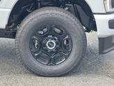 Thumbnail of 2025 Avalanche Ford F-250