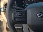 Thumbnail of 2025 Avalanche Ford F-250