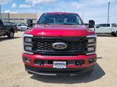 Thumbnail of 2025 Ruby Red Metallic Tinted Clearcoat Ford F-250