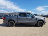 Thumbnail of 2025 Carbonized Gray Metallic Ford F-150