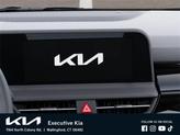 Thumbnail of 2025 Clear White/Black Roof Kia Seltos