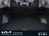 Thumbnail of 2025 Clear White/Black Roof Kia Seltos