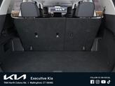 Thumbnail of 2025 Black Kia Telluride