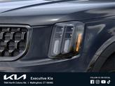 Thumbnail of 2025 Ebony Black Kia Telluride