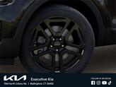 Thumbnail of 2025 Ebony Black Kia Telluride