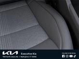 Thumbnail of 2025 Steel Gray Kia Niro EV
