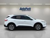Thumbnail of 2021 Star White Ford Escape