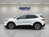 Thumbnail of 2021 Star White Ford Escape