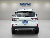 Thumbnail of 2021 Star White Ford Escape
