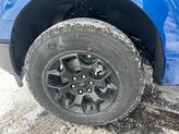 Thumbnail of 2025 Atlas Blue Metallic Ford F-150