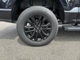 Thumbnail of 2025 Agate Black Metallic Ford F-150