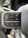 Thumbnail of 2025 Agate Black Metallic Ford F-150