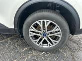 Thumbnail of 2022 Star White Ford Escape