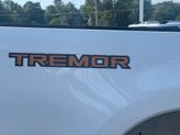 Thumbnail of 2023 Oxford White Ford F-250
