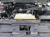 Thumbnail of 2022 White Ford F-150
