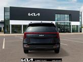 Thumbnail of 2026 Panthera Metal Kia Carnival