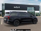 Thumbnail of 2026 Panthera Metal Kia Carnival