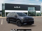 Thumbnail of 2026 Panthera Metal Kia Carnival