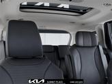 Thumbnail of 2026 Panthera Metal Kia Carnival