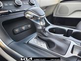 Thumbnail of 2024 Aurora Black Pearl Kia Carnival