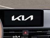 Thumbnail of 2025 Panthera Metal Kia EV6