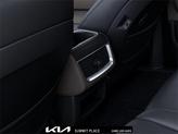 Thumbnail of 2026 Panthera Metal Kia Carnival
