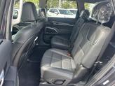 Thumbnail of 2025 Panthera Metal Kia Telluride