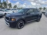 Photo of 2025 Panthera Metal Kia Telluride