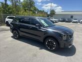 Thumbnail of 2025 Panthera Metal Kia Sorento
