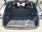 Thumbnail of 2025 Opal Volkswagen Tiguan