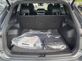 Thumbnail of 2025 Platinum Volkswagen Tiguan