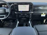 Thumbnail of 2025 Agate Black Metallic Ford F-250