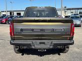 Thumbnail of 2025 Shelter Green Ford F-150