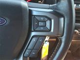 Thumbnail of 2020 Rapid Red Metallic Tinted Clearcoat Ford F-150