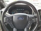 Thumbnail of 2020 Magnetic Metallic Ford F-150