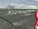 Thumbnail of 2020 Magnetic Metallic Ford F-150