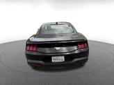 Thumbnail of 2024 Shadow Black Ford Mustang