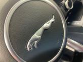 Thumbnail of 2023 Ostuni Pearl White Jaguar E-PACE