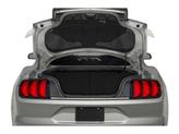 Thumbnail of 2020 MAGNETIC METALLIC Ford Mustang