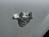 Thumbnail of 2009 Silver Ford Mustang