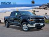 Photo of 2024 Black Metallic Ford F-150