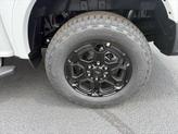 Thumbnail of 2025 Oxford White Ford Ranger