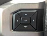 Thumbnail of 2020 Rapid Red Metallic Tinted Clearcoat Ford F-150