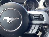 Thumbnail of 2022 Oxford White Ford Mustang