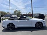 Thumbnail of 2022 Oxford White Ford Mustang